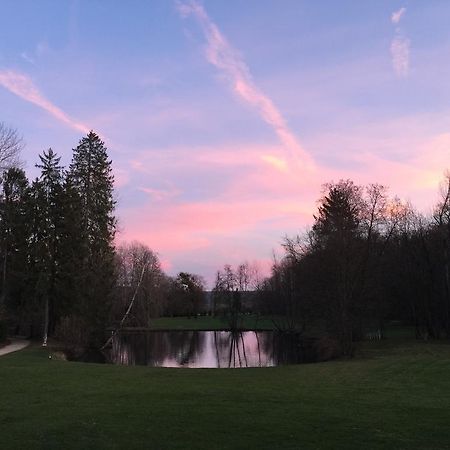 Chateau Du Breuil Bed & Breakfast Gevrolles Exterior foto