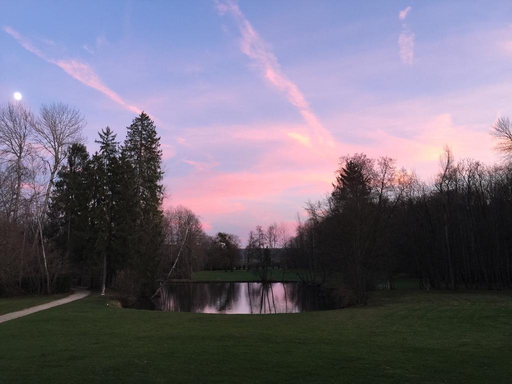 Chateau Du Breuil Bed & Breakfast Gevrolles Exterior foto